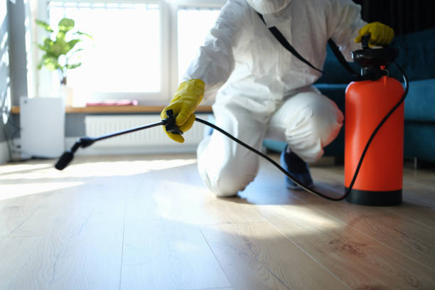 Best Pest Removal Services  in Van Alstyne, TX