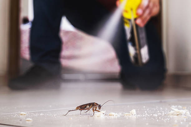 Trusted Van Alstyne, TX Pest Control Experts