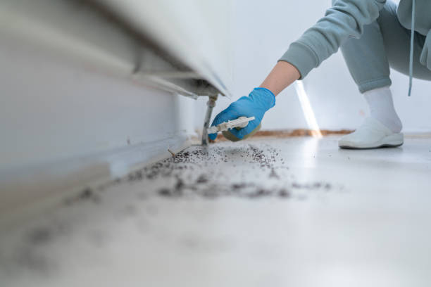 Best Best Pest Control Companies  in Van Alstyne, TX